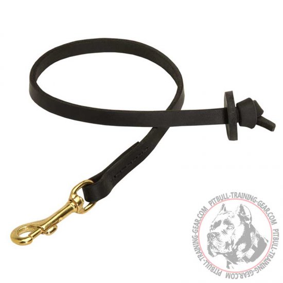 training leash for pitbull