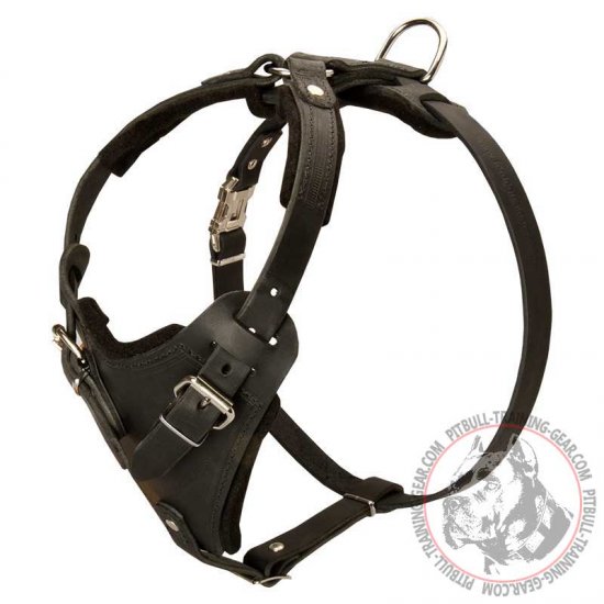 apbt harness