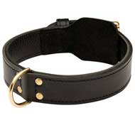 Universal 2 ply Leather Pitbull Collar for Training and Walking Universal 2 ply Leather Pitbull Collar for Training and Walking