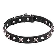 "Blazing Stars" 4/5 inch (25 mm) Decorated Pit Bull Leather Collar "Blazing Stars" 4/5 inch (25 mm) Decorated Pit Bull Leather Collar