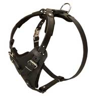 Strong Leather Pitbull Harness for Attack/Agitation Training Strong Leather Pitbull Harness for Attack/Agitation Training