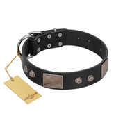 "Square Stars" Modern FDT Artisan Black Leather Pitbull Collar with Square Plates and Studs "Square Stars" Modern FDT Artisan Black Leather Pitbull Collar with Square Plates and Studs