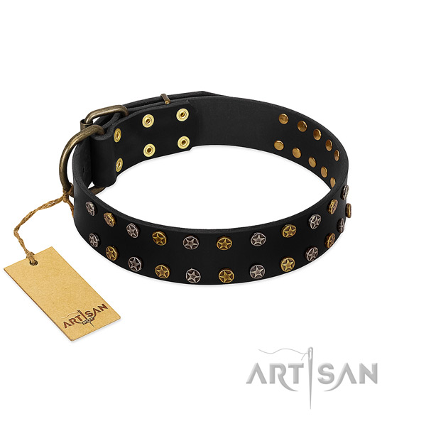 Exquisite full grain leather dog collar with reliable studs