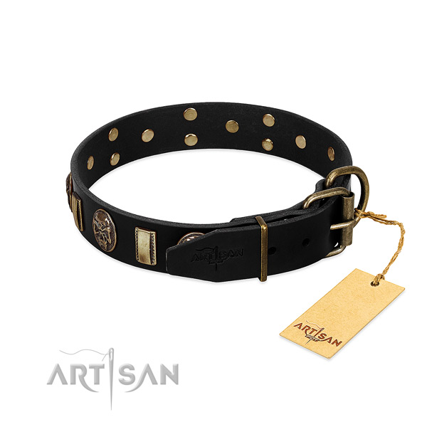 Leather dog collar with reliable buckle and studs