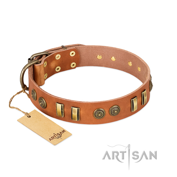 Reliable traditional buckle on natural leather dog collar for your four-legged friend