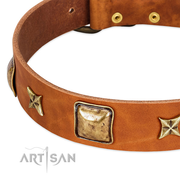 Corrosion resistant embellishments on full grain leather dog collar for your canine