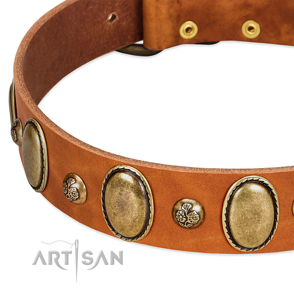 Full grain genuine leather dog collar with remarkable adornments