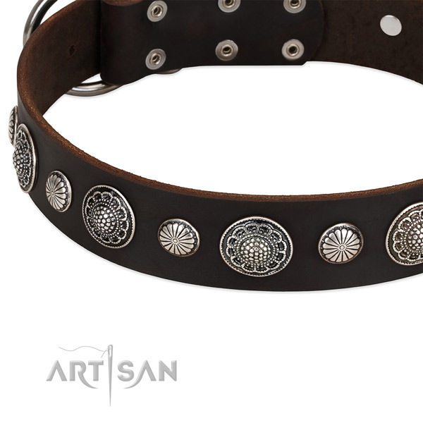 Full grain leather collar with reliable D-ring for your impressive four-legged friend