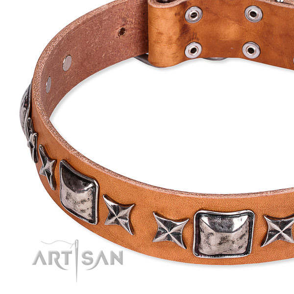 Stylish walking studded dog collar of top quality full grain natural leather