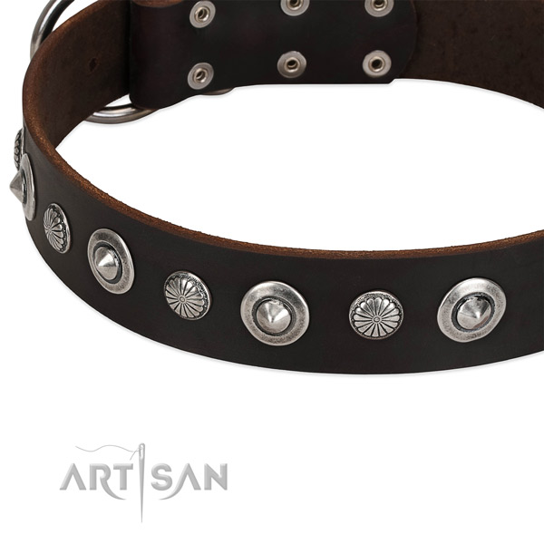 Awesome embellished dog collar of high quality leather