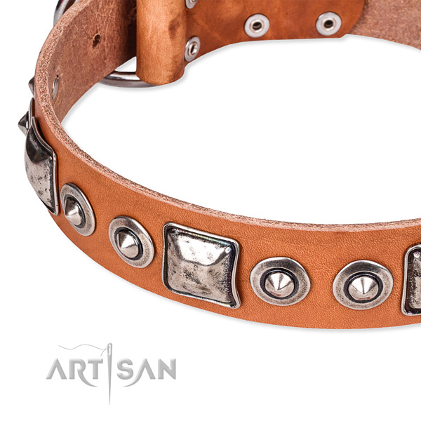 Durable natural genuine leather dog collar crafted for your stylish canine