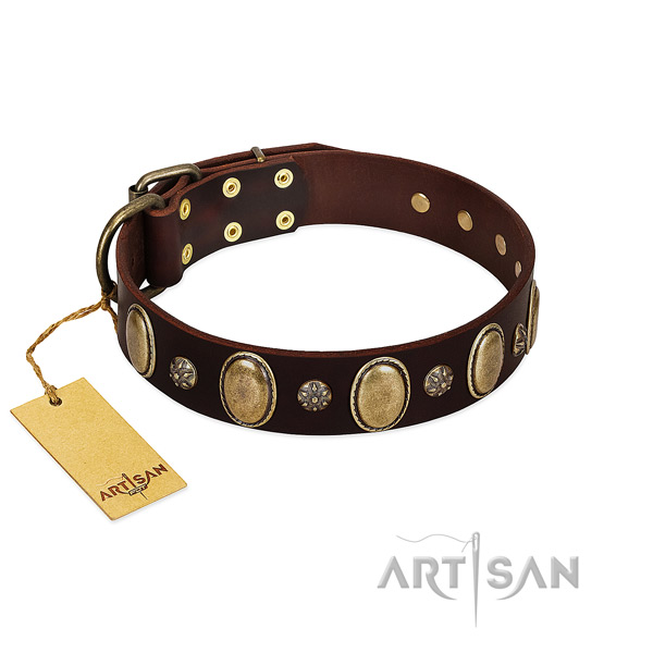 Fancy walking flexible full grain genuine leather dog collar with embellishments