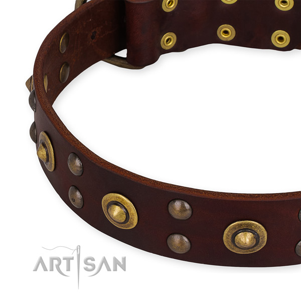 Genuine leather collar with rust-proof traditional buckle for your beautiful canine