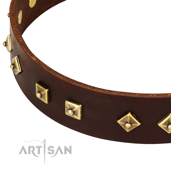 Amazing full grain leather collar for your impressive canine