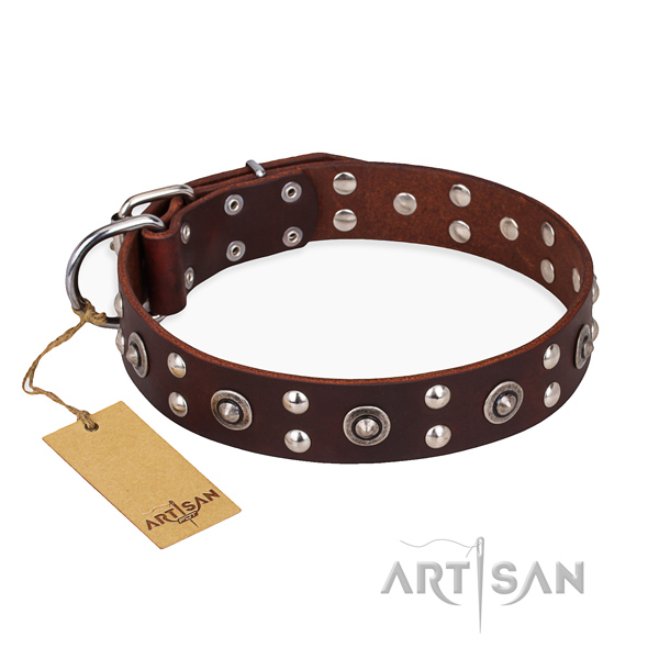Fancy walking exquisite dog collar with durable hardware