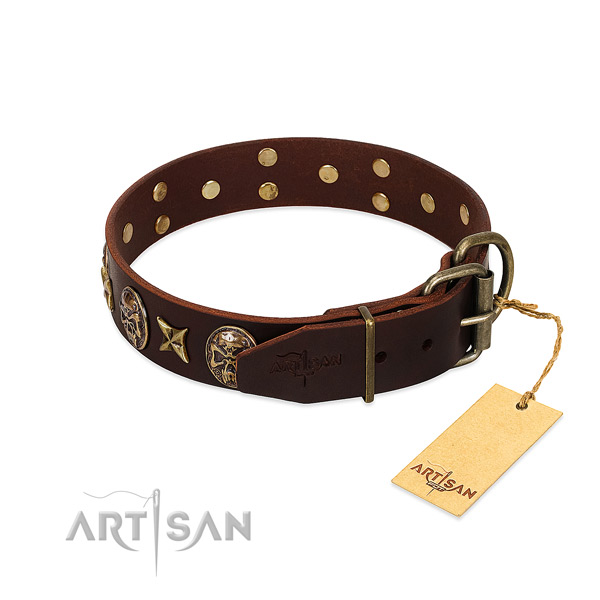 Leather dog collar with corrosion proof fittings and decorations