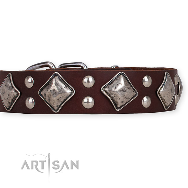 Full grain natural leather dog collar with unique corrosion proof adornments
