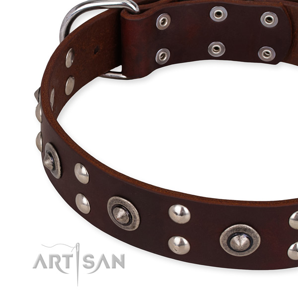 Genuine leather collar with rust-proof hardware for your stylish four-legged friend