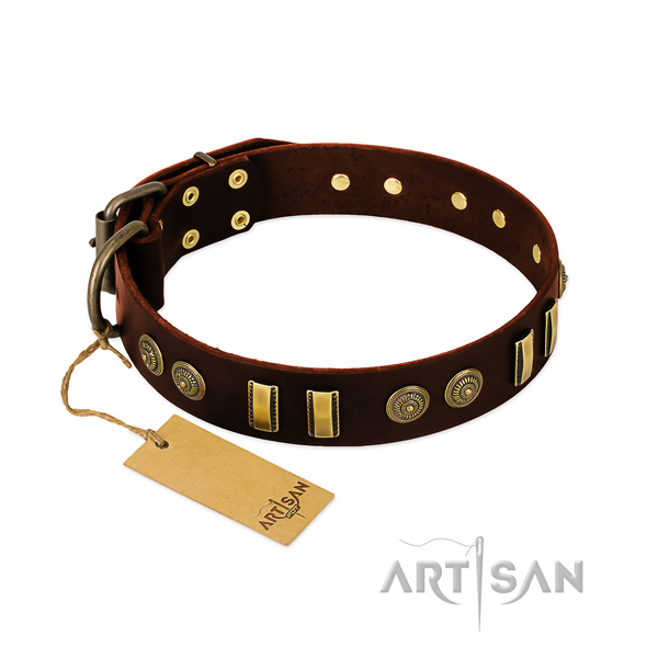Reliable adornments on leather dog collar for your doggie