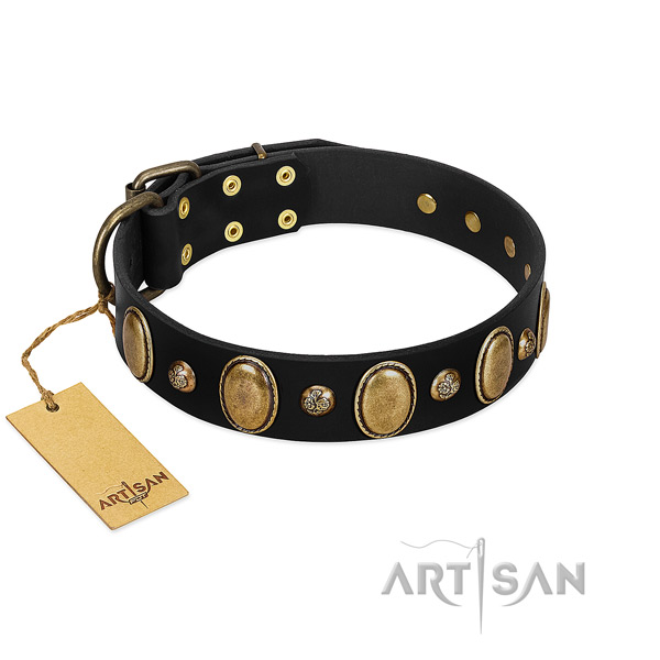 Leather dog collar of flexible material with incredible decorations
