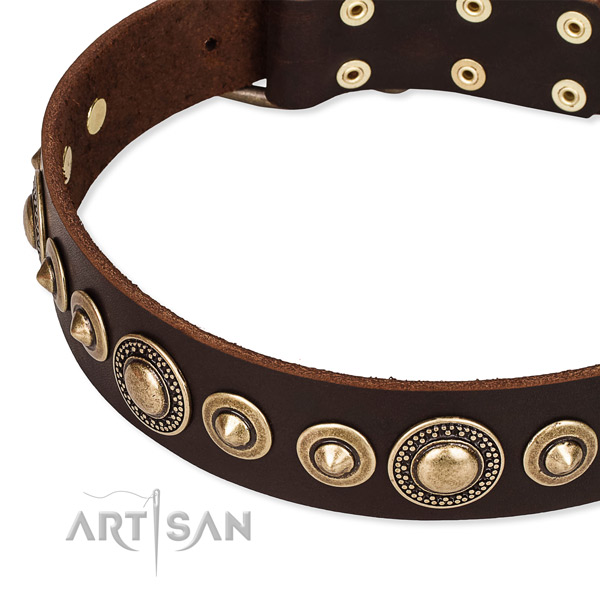 Best quality leather dog collar created for your handsome canine