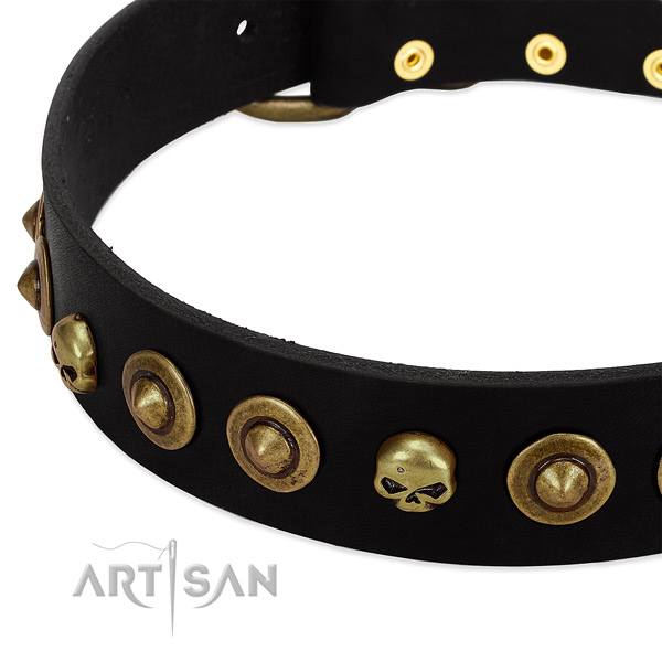 Full grain genuine leather dog collar with impressive embellishments