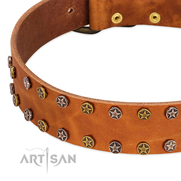 Handy use full grain leather dog collar with exceptional studs