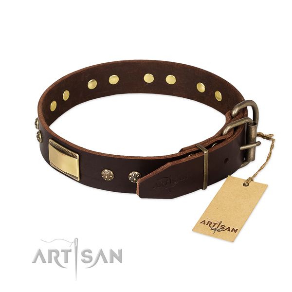 Unusual genuine leather collar for your doggie