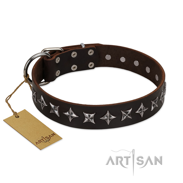 Basic training dog collar of fine quality full grain natural leather with adornments