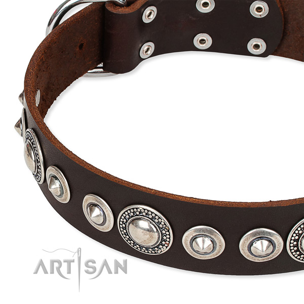 Fancy walking decorated dog collar of durable full grain genuine leather