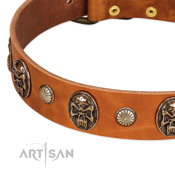 Reliable buckle on full grain natural leather dog collar for your canine