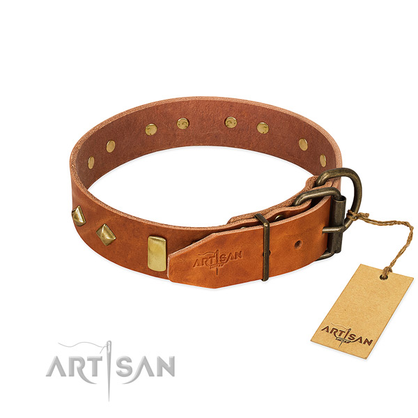 Daily walking leather dog collar with amazing decorations