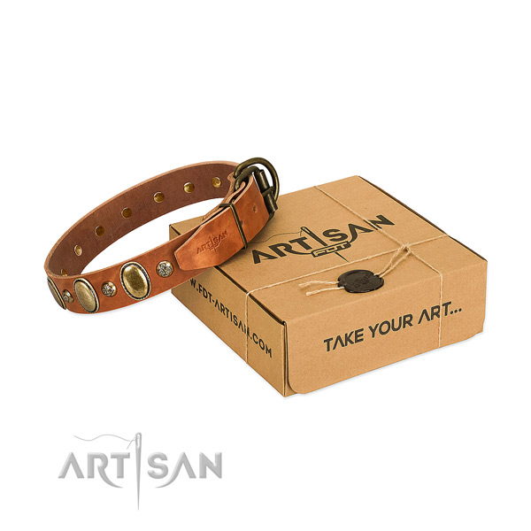 Handcrafted genuine leather dog collar with strong fittings