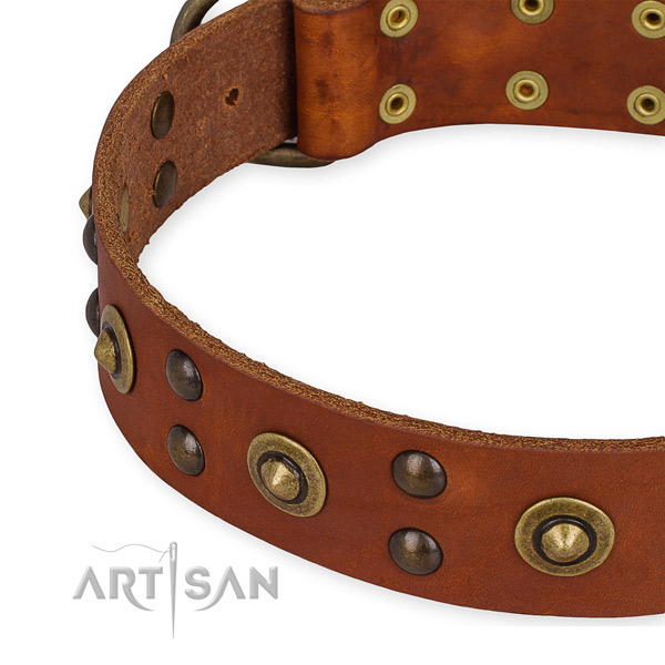 Genuine leather collar with reliable fittings for your beautiful pet
