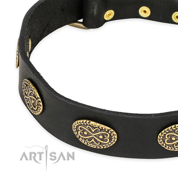 Stylish leather collar for your beautiful doggie