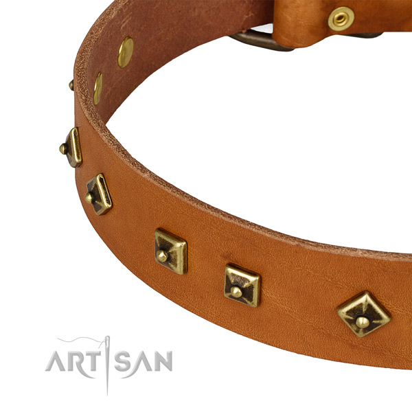 Stylish full grain genuine leather collar for your impressive four-legged friend