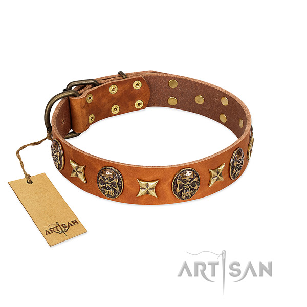 Unusual full grain leather collar for your canine