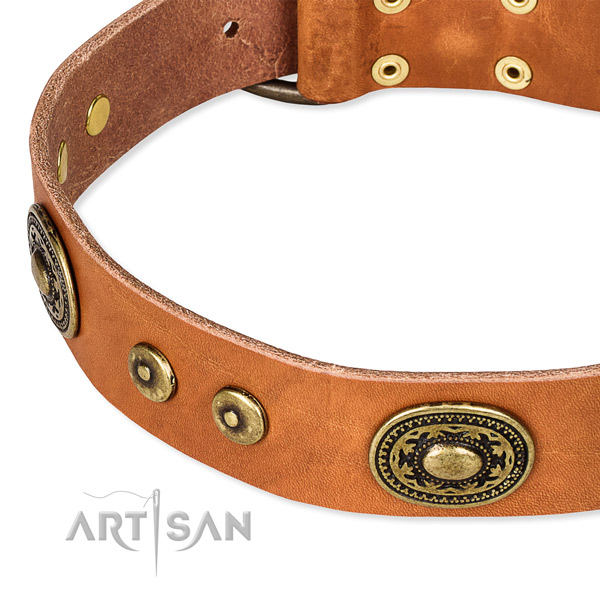 Natural genuine leather dog collar made of gentle to touch material with studs