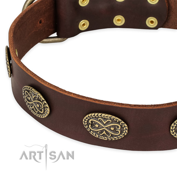 Designer full grain leather collar for your stylish canine