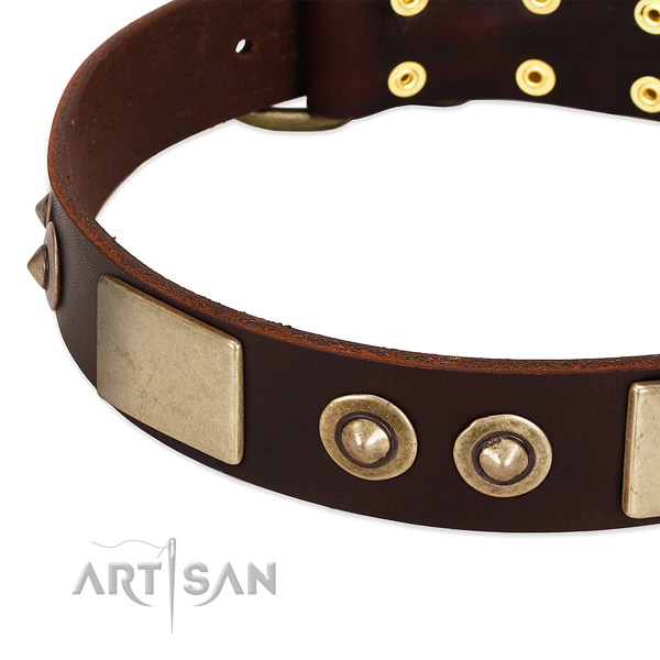 Durable adornments on full grain genuine leather dog collar for your four-legged friend