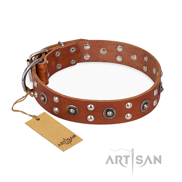 Everyday walking fashionable dog collar with rust-proof traditional buckle