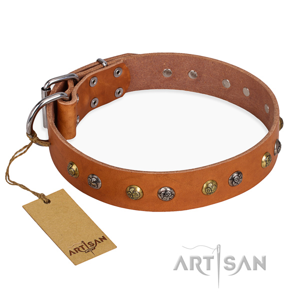 Daily use decorated dog collar with corrosion resistant buckle