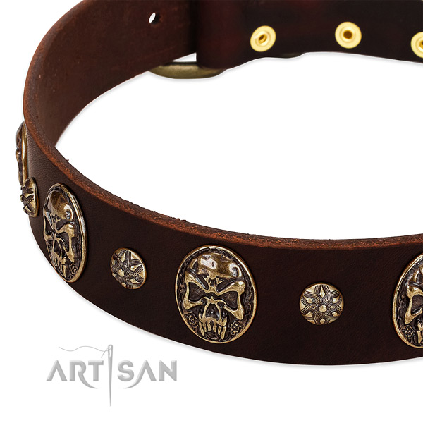 Rust resistant adornments on genuine leather dog collar for your pet