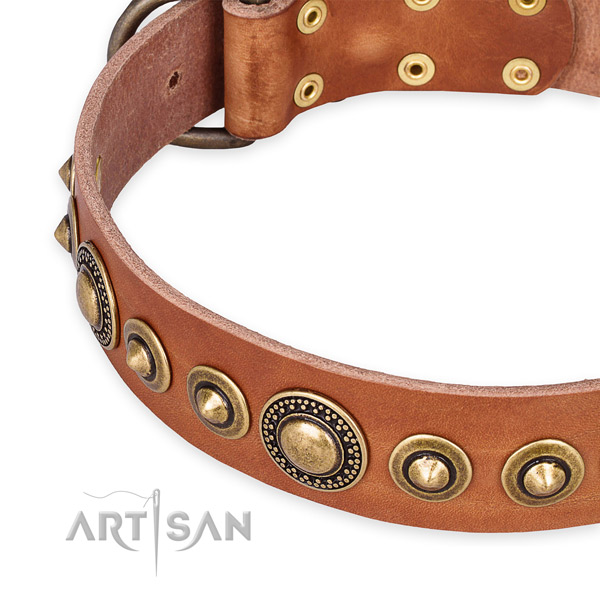 Top notch leather dog collar crafted for your impressive pet