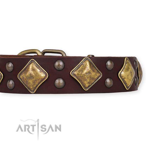 Full grain natural leather dog collar with designer rust resistant decorations