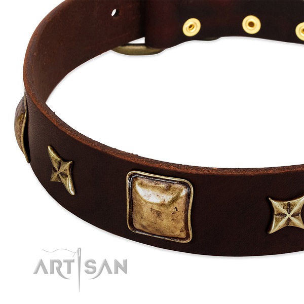 Reliable hardware on full grain genuine leather dog collar for your pet