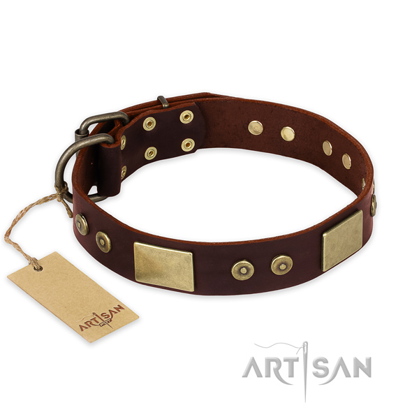Extraordinary genuine leather dog collar for daily walking