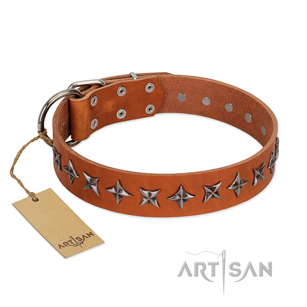 Easy wearing dog collar of top quality full grain natural leather with studs
