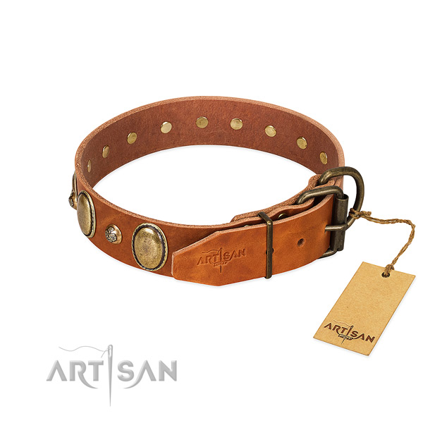 Exceptional leather dog collar with rust resistant buckle