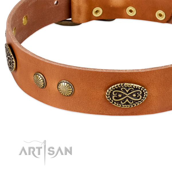 Rust resistant adornments on full grain natural leather dog collar for your doggie